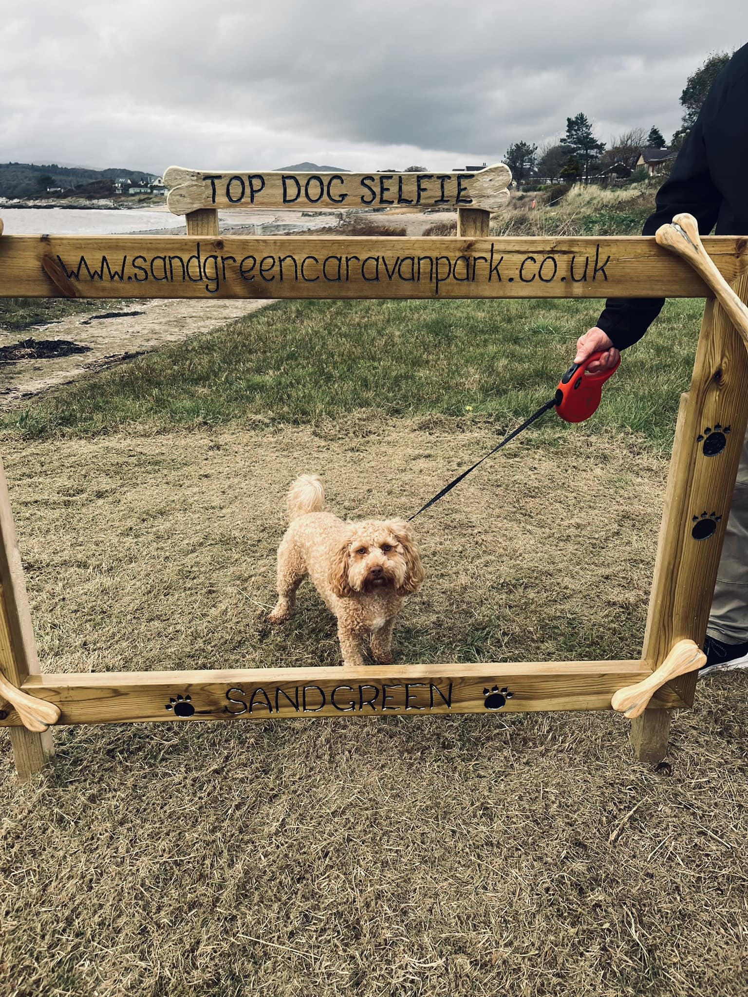 Dog selfie at dog friendly Sandgreen Caravan Park