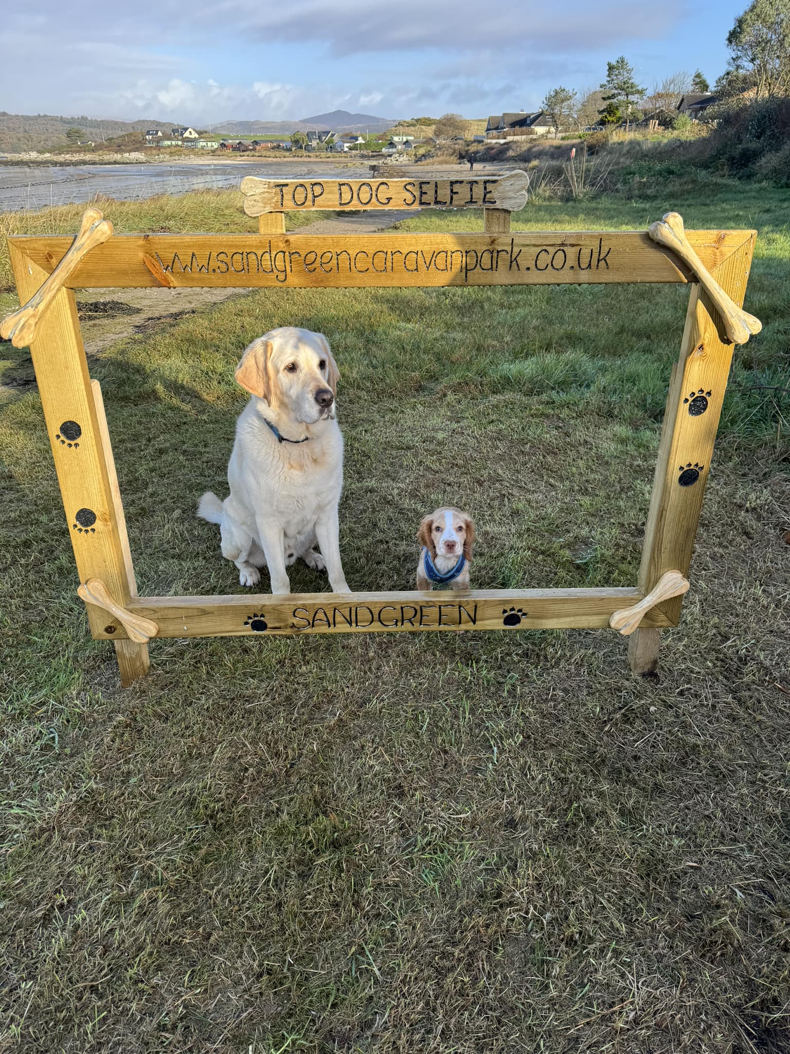 Dog selfie at dog friendly Sandgreen Caravan Park