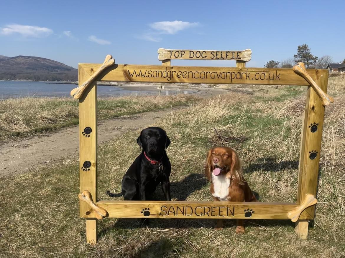 Dog selfie at dog friendly Sandgreen Caravan Park