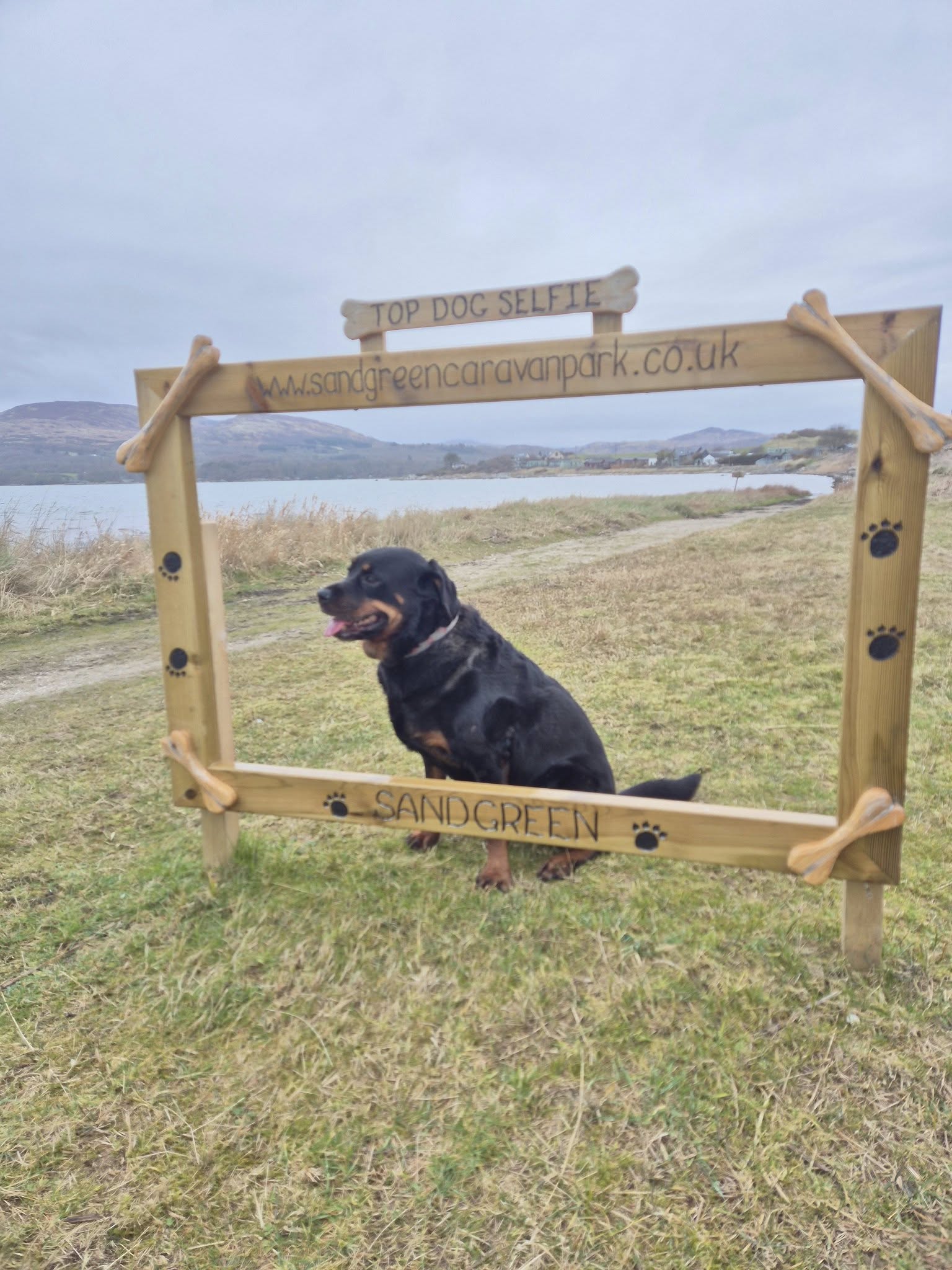 Dog selfie at dog friendly Sandgreen Caravan Park