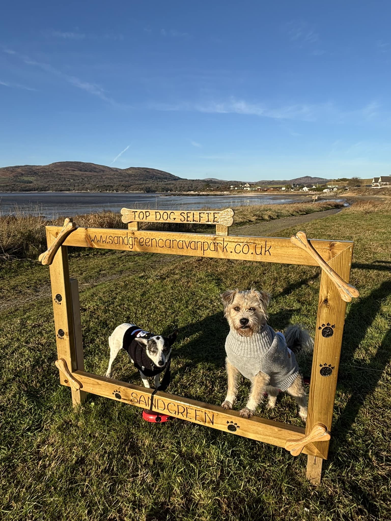 Dog selfie at dog friendly Sandgreen Caravan Park