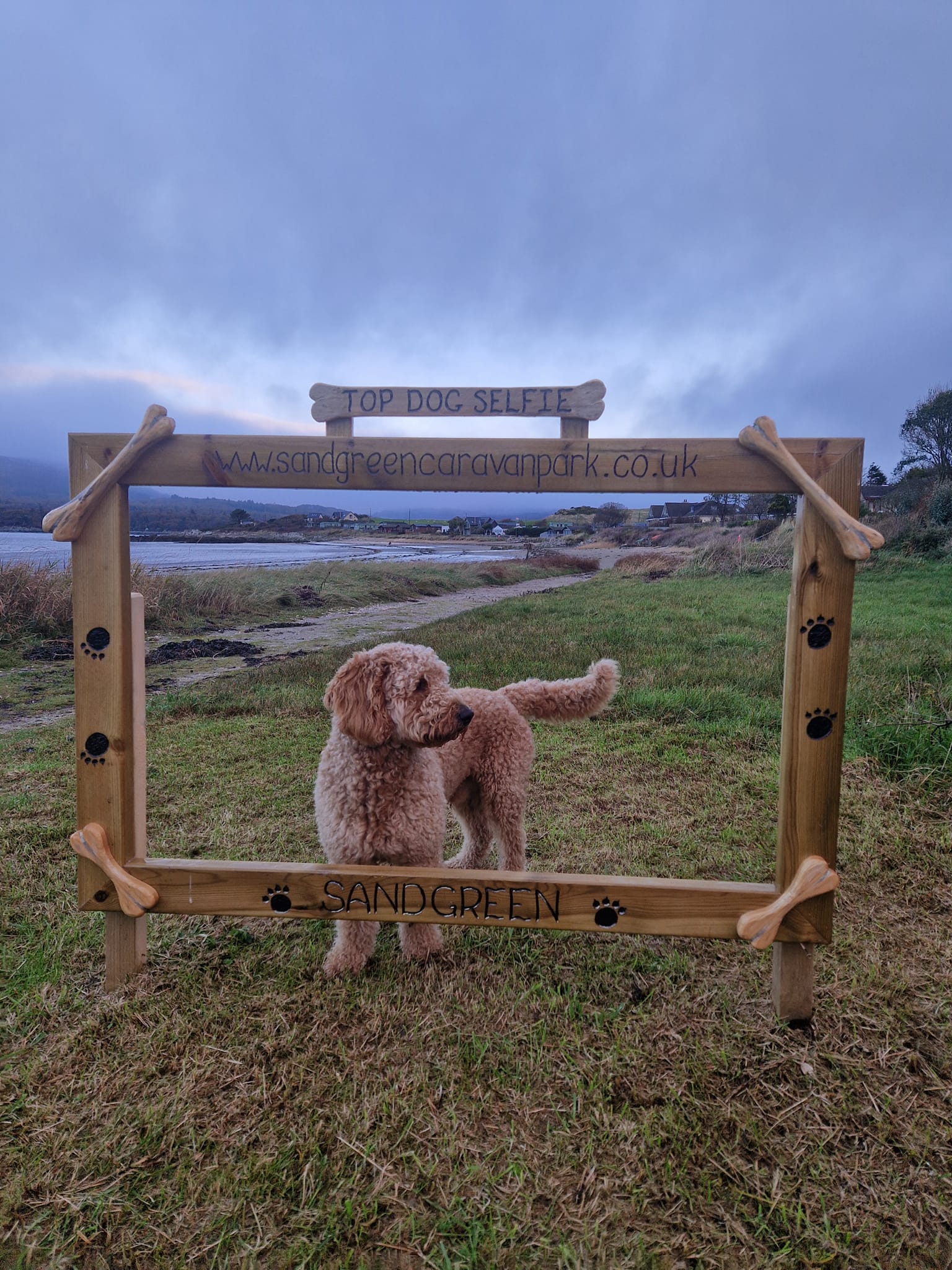 Dog selfie at dog friendly Sandgreen Caravan Park
