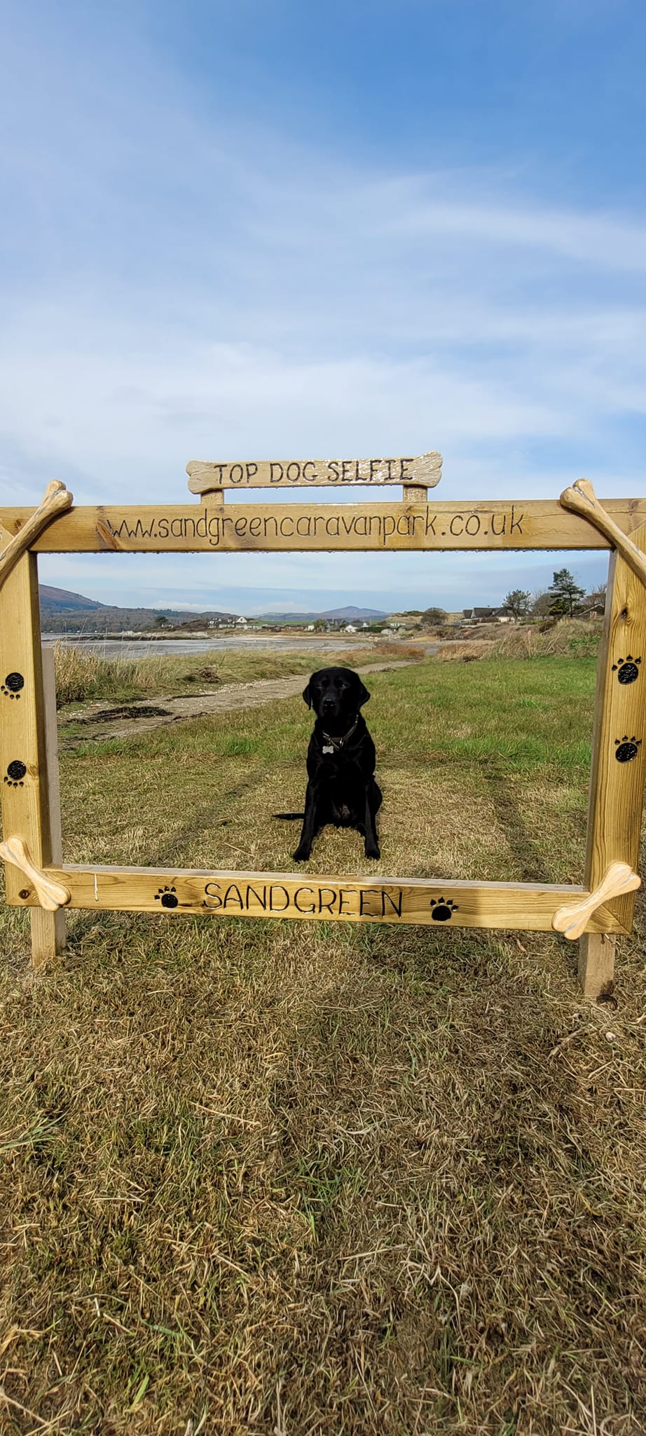 Dog selfie at dog friendly Sandgreen Caravan Park