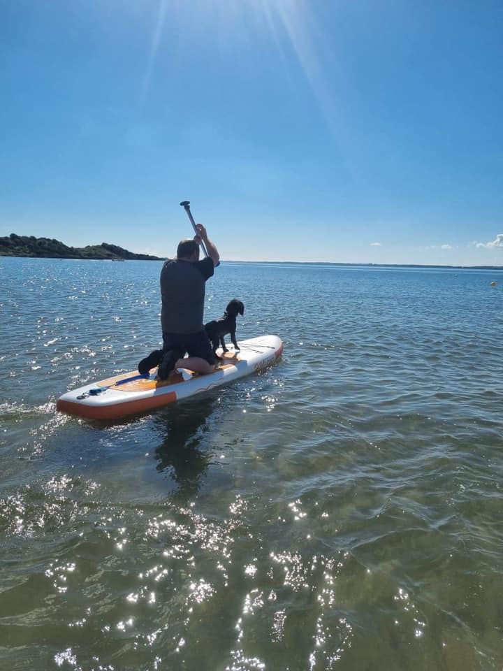 dog on paddleboard
