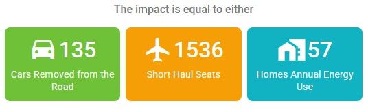 Play it Green infographic achievements 2024